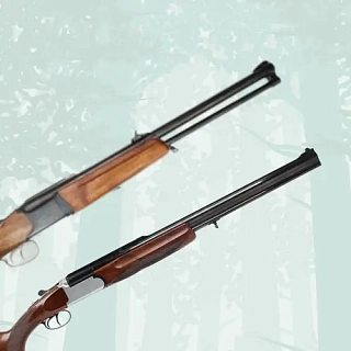 Комбинированное оружие