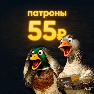 Патроны 55р