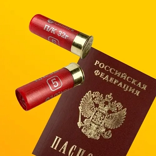 Покупка патронов