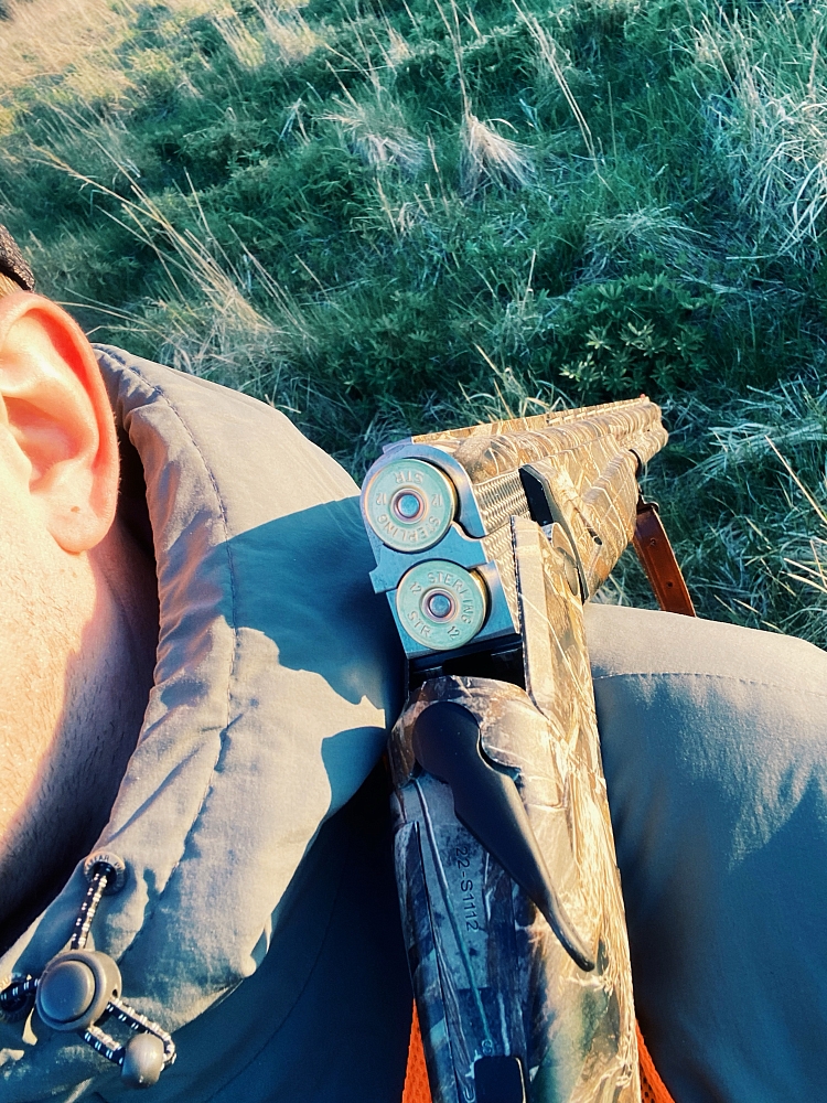 Дмитрий Савельев