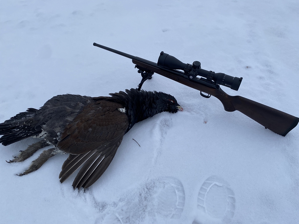 Пользователь #.