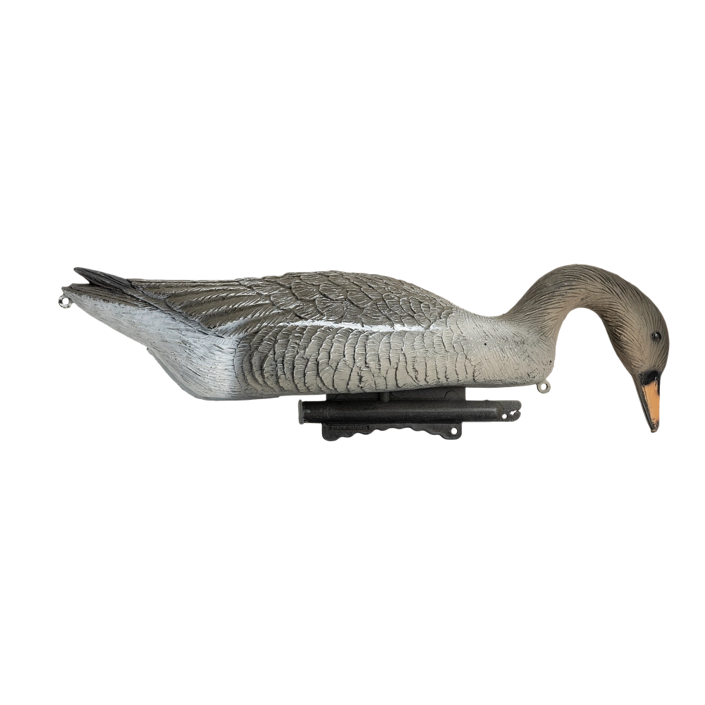 Чучело Sport Plast гусь Гуменник, кормящийся, плавающее. Фото №1