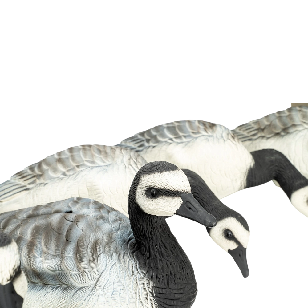 Чучело Oscar Decoys Elite 3D, Казарка Гусь, мягкий пластик, 10 шт. (8+2) . Фото №10 Чучело Oscar Decoys Elite 3D, Казарка Гусь, мягкий пластик, 10 шт. (8+2) . Фото №10