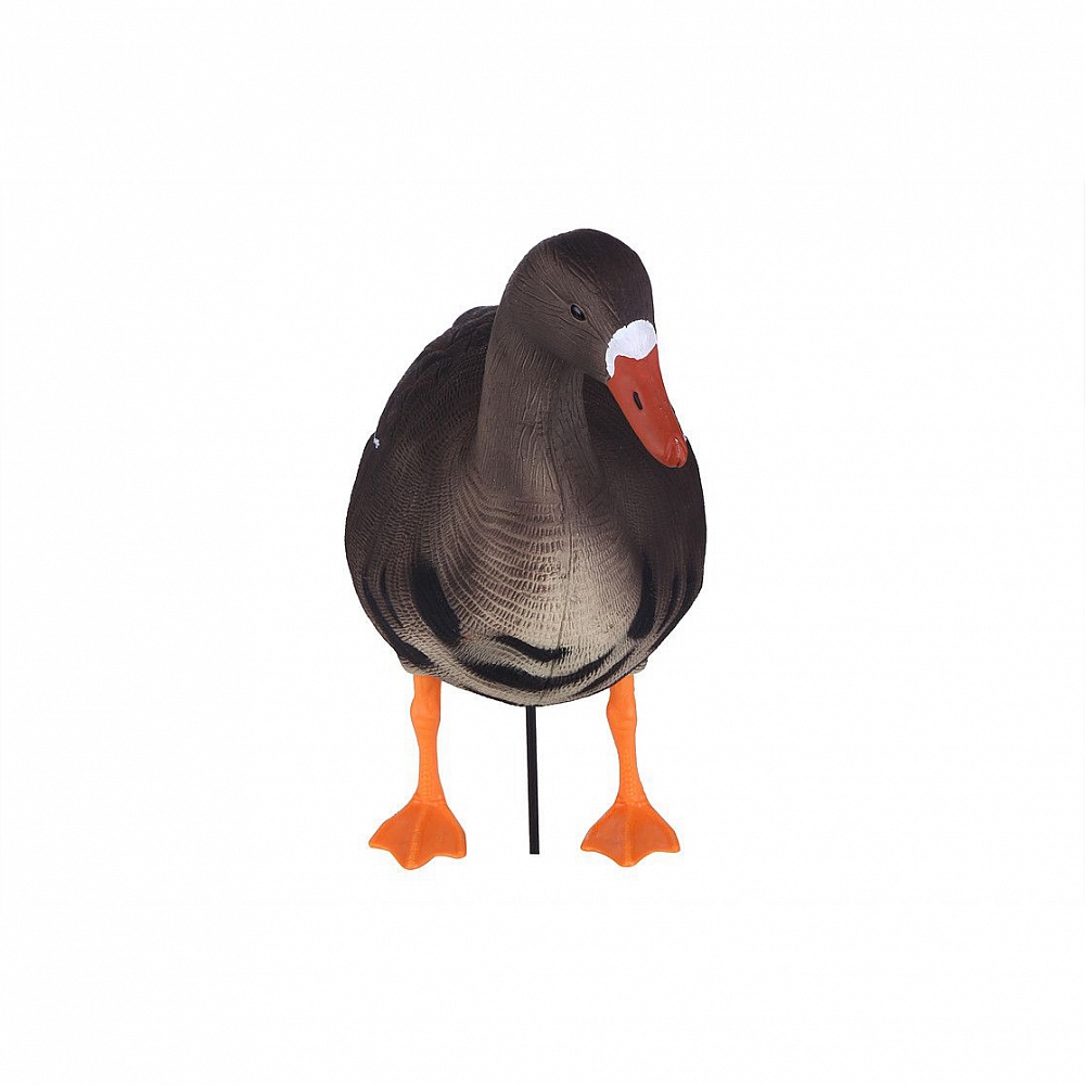 Чучело Sport Plast гусь Белолобый сторожевой. Фото №1 Чучело Sport Plast гусь Белолобый сторожевой. Фото №1