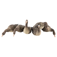 Гусь белолобый, 5 штук + 1 робот DuckMania® DM-777501