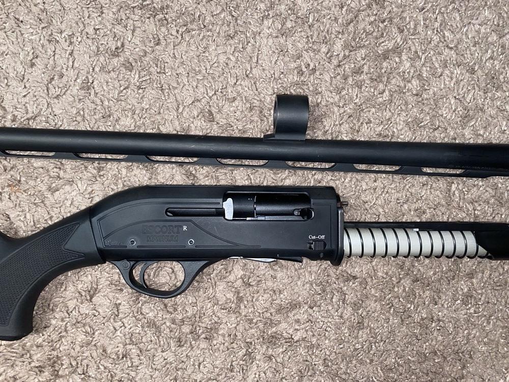 Hatsan Hatsan ESCORT PS кал.12х76. Фото №3