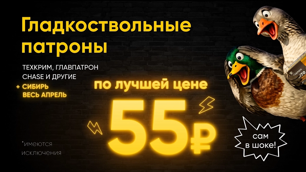 Гладкоствольные патроны по лучшей цене