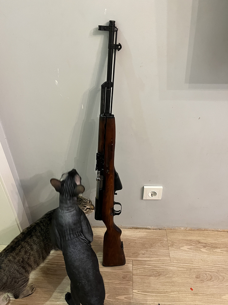 Молот АРМЗ ВПО 208 кал.366ТКМ. Фото №2