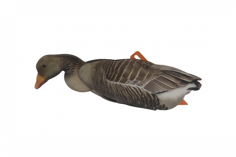 Чучело Гусь Серый (сторожевой, отдыхающий, кормящийся) 6 шт.. Фото №1 Чучело Гусь Серый (сторожевой, отдыхающий, кормящийся) 6 шт.. Фото №1