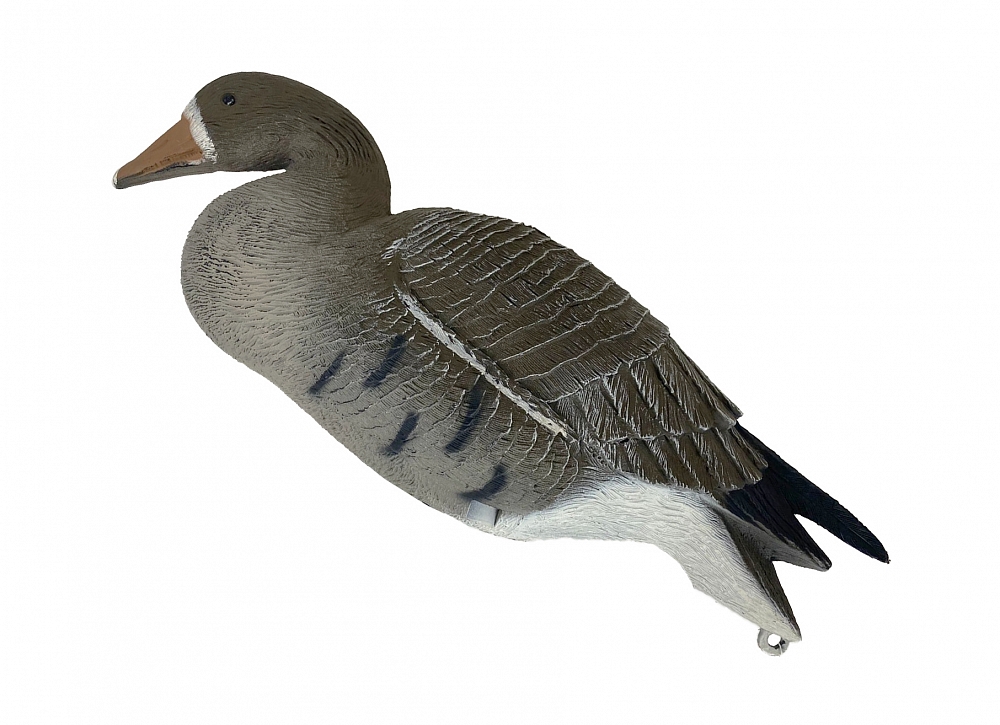 Чучело Sport Plast гусь Белолобый отдыхающий. Фото №3