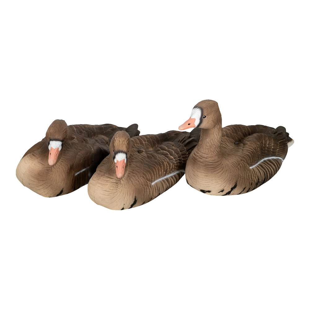 Комплект Белолобый гусь, Softplast®, ALFA6B-DM. Фото №2