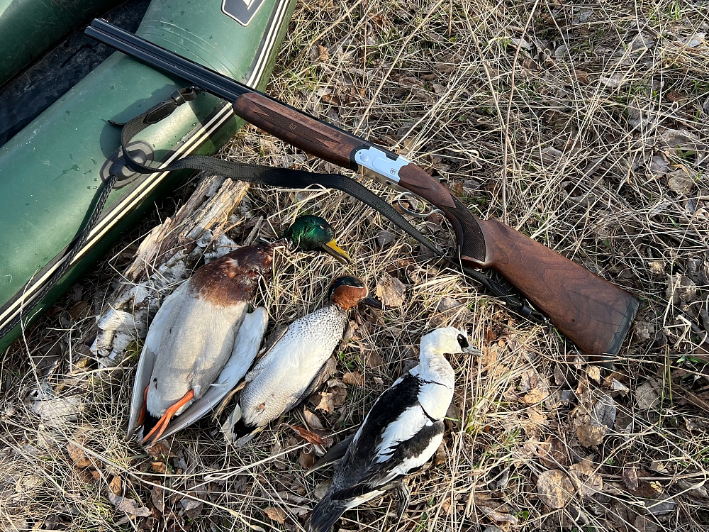 Пользователь #280855