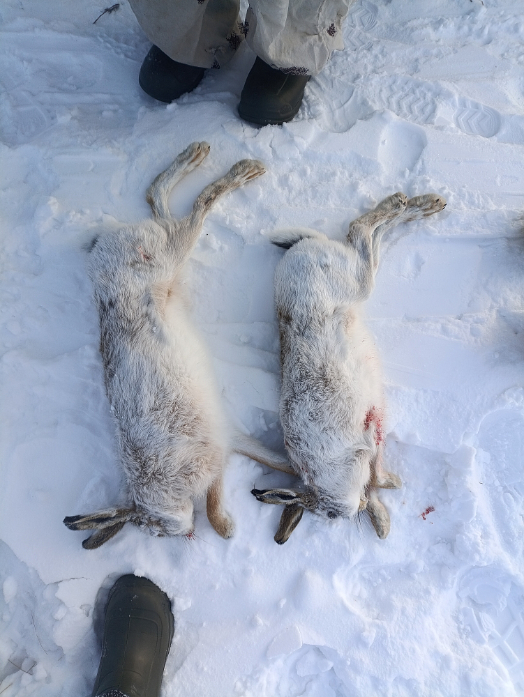 Пользователь #326296