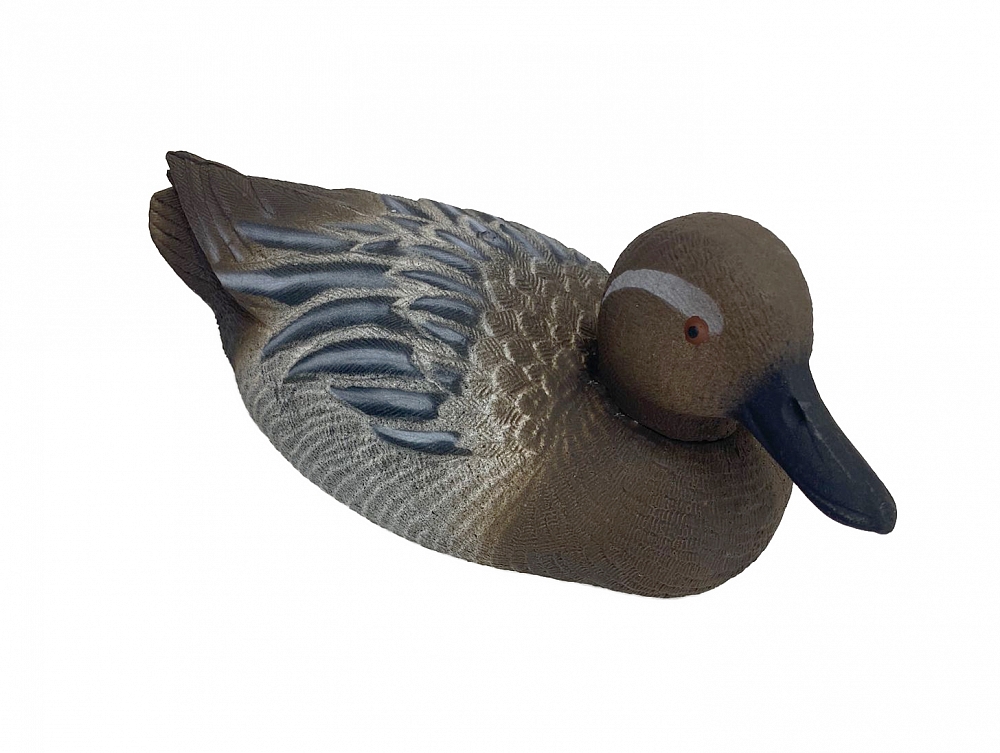 Чучело Чирок (утка, селезень) 6 шт.. Фото №3