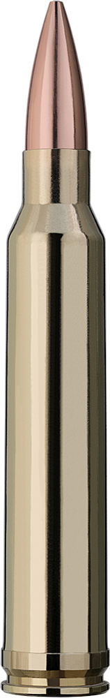 Патрон нарезной RWS калибр 300 WIN Mag DN Target Elit Plus 12,3гр. 190grn. (в пачке 20 шт.). Фото №3 Патрон нарезной RWS калибр 300 WIN Mag DN Target Elit Plus 12,3гр. 190grn. (в пачке 20 шт.). Фото №3