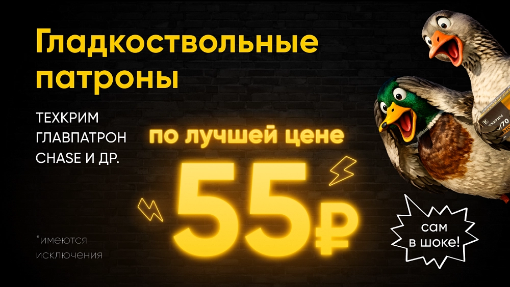 Гладкоствольные патроны по лучшей цене