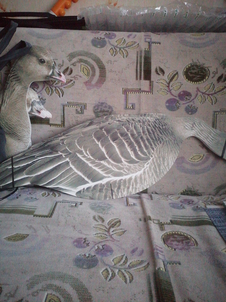 Пользователь #305580