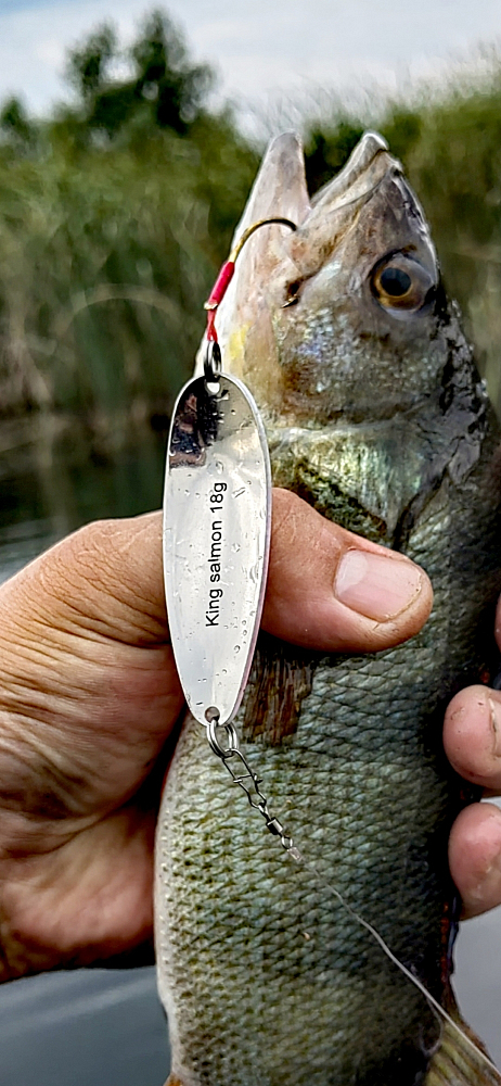 Пользователь #531323