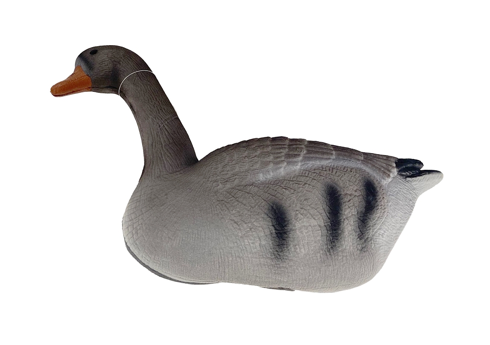 Чучело Гусь Серый (сторожевой, отдыхающий, кормящийся) 6 шт.. Фото №2 Чучело Гусь Серый (сторожевой, отдыхающий, кормящийся) 6 шт.. Фото №2