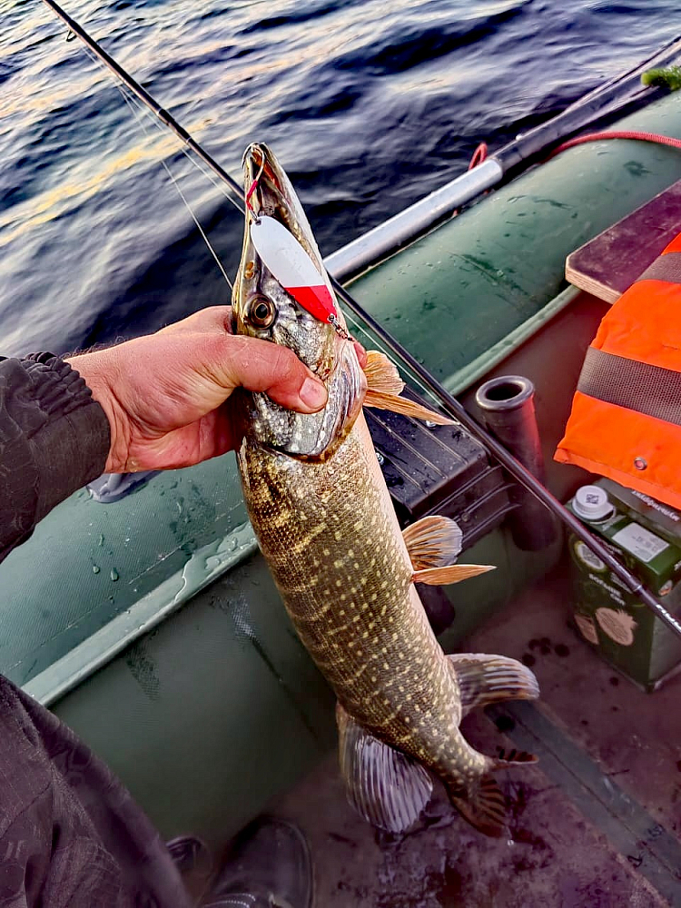 Пользователь #531323