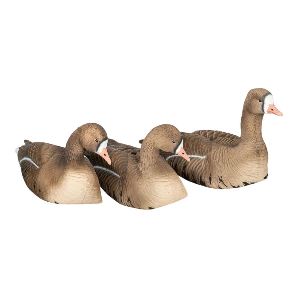 Комплект Белолобый гусь, Softplast®, ALFA6B-DM. Фото №1