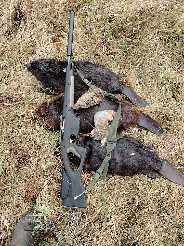 Пользователь #376318